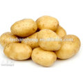 2014 Shandong nouvelle culture de pommes de terre au prix (80-150g, 100-200g, 200g en haut)